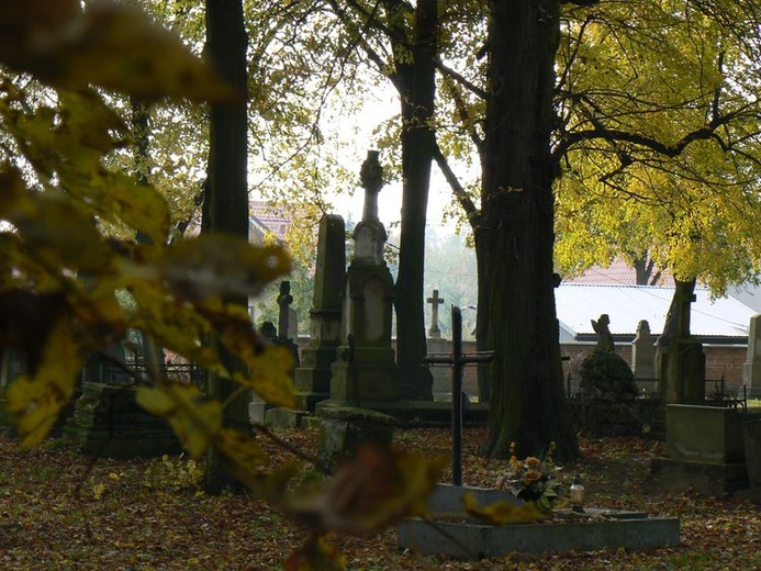 Stary Cmentarz na "Piaskach" w Miechocinie