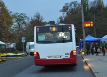 Na cmentarz lepiej autobusem