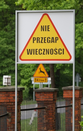 Podłączeni do sieci