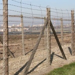 Majdanek