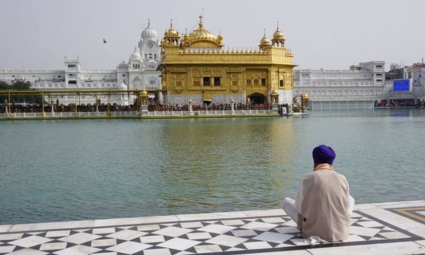 Watykan do hinduistów o ekologii ludzkiej