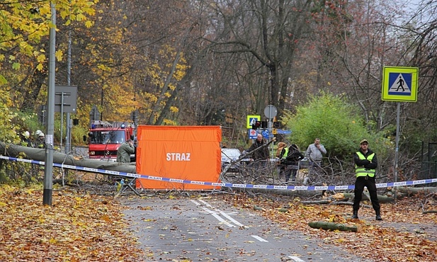 Kobieta zginęła pod powalonym drzewem