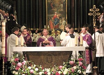 Wraz z metropolitą Eucharystię sprawowali wszyscy gdańscy biskupi  oraz kilkudziesięciu kapłanów