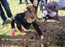 Dzieci sadzą cebulki dla chorych