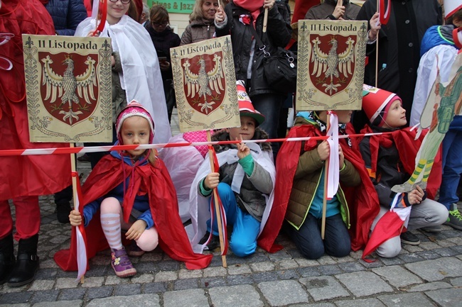 Radosna Parada Niepodległości 2015