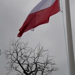 Uroczystości patriotyczne w Łyszkowicach