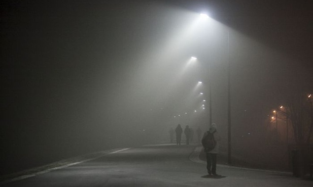 Smog upośledza funkcje obronne organizmu