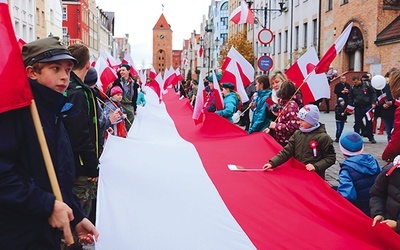 Długą na ponad 50 metrów biało-czerwoną flagę nieśli harcerze, uczniowie i małe dzieci