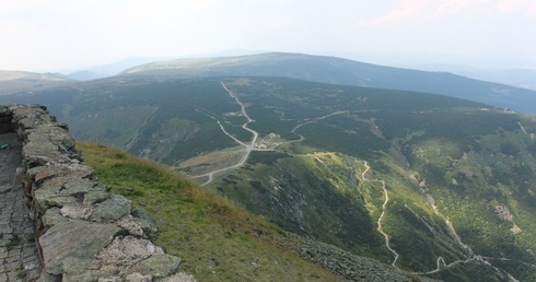 Wciągnęli bielika pod swoje skrzydła