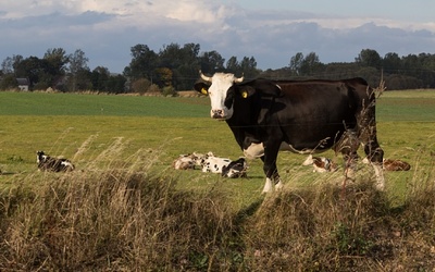 UE nierówno traktuje rolników