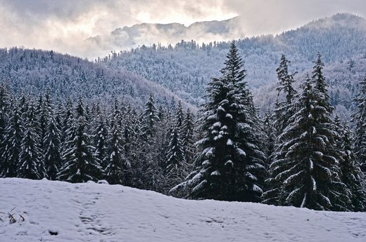 Zimowa aura w Zakopanem