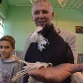 Jeden ze zwycięskich gołębi