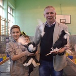Wystawa gołębi rasowych