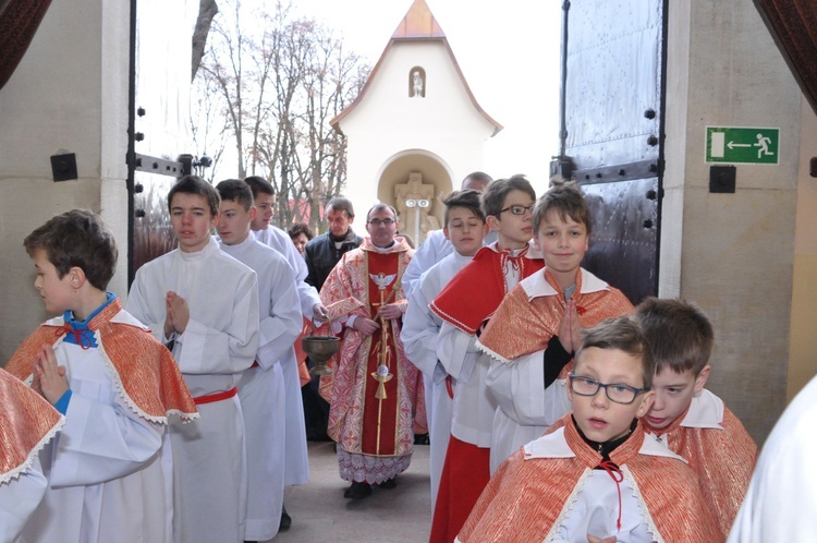 Brama Miłosierdzia w Szczepanowie