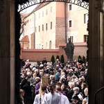 Brama Miłosierdzia w katedrze wawelskiej