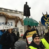 V Marsz Wolności i Solidarności