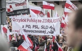 V Marsz Wolności i Solidarności. W drodze pod Belweder