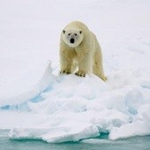 Rekordowo wysokie temperatury na Arktyce