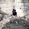 Syria: kilkunastu chrześcijan zginęło w zamachu