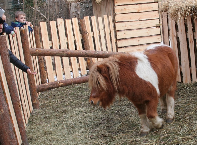 Szopka u oblatów