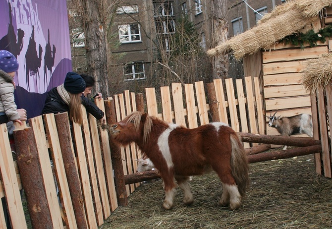 Szopka u oblatów