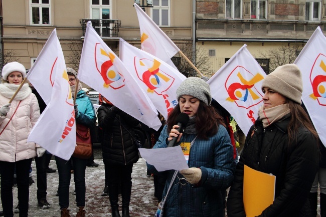 Krakowski Orszak Trzech Króli 2016 - człony niebieski i zielony