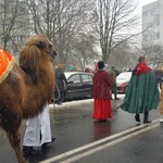 Orszak Trzech Króli 2016 w Oleśnicy