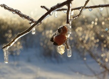 Rozeznawanie duchowe