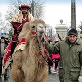  W Szymanowie po raz pierwszy, obok Świętej Rodziny, królów, pasterzy, aniołów, wędrowały także  dwa radosne wielbłądy