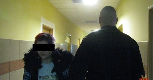 Zbezcześcili figurę Maryi