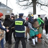 Wodzenie Niedźwiedzia w Złotnikach