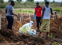 Ebola, ebola – straszne słowo pada z wielu ust