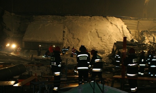 Lot nad strąconym gniazdem