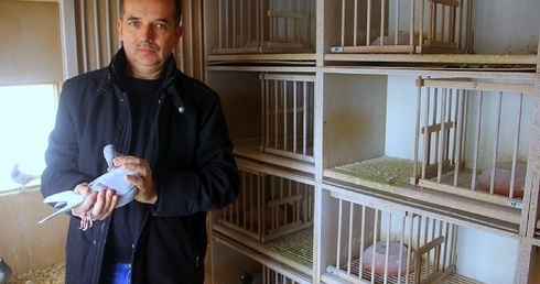 Lot nad strąconym gniazdem