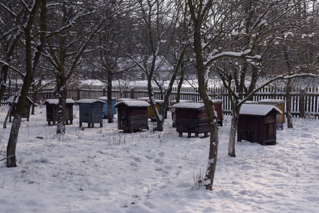 Radomski skansen zaprasza także zimą