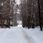 Radomski skansen zaprasza także zimą