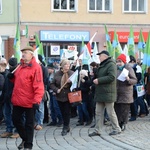 Manifestacja przeciw powiększeniu Opola