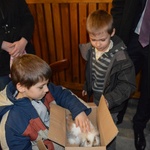Losowanie królików w parafii NSPJ