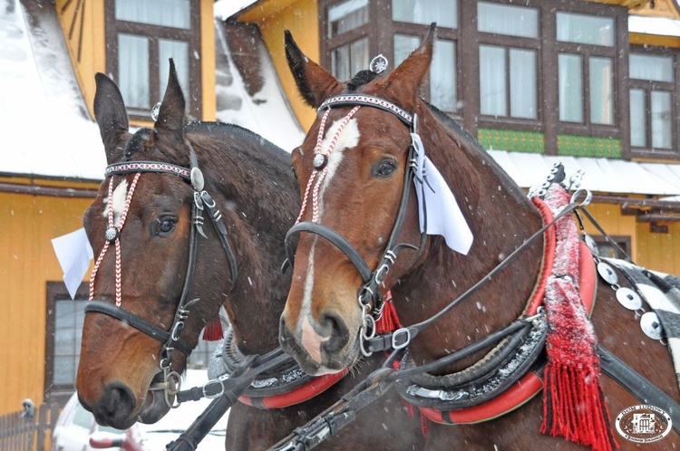 44. Góralski Karnawał w Bukowinie Tatrzańskiej - cz. 2