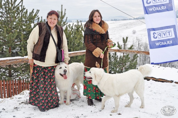 44. Góralski Karnawał w Bukowinie Tatrzańskiej - cz.3