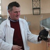 Jan Gajda hoduje gołębie od 40 lat
