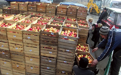  W ciągu dwóch lutowych sobót w Tarnówku rozdano 45 ton jabłek. Organizatorzy zapewniają, że będą się starać o kolejne transporty