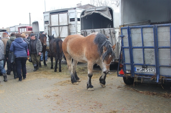 Skaryszewskie „Wstępy 2016”