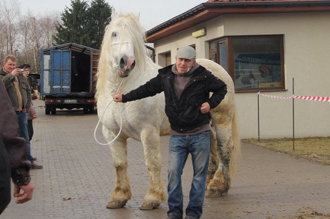 Skaryszewskie „Wstępy 2016”