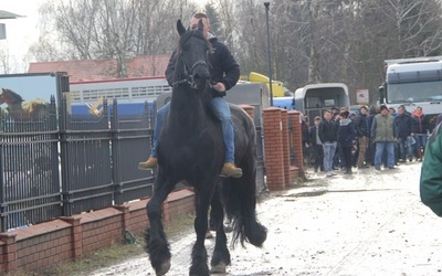 Skaryszewskie „Wstępy 2016”