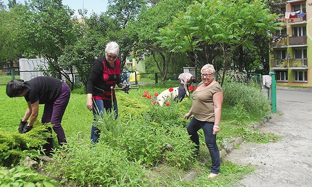  Seniorzy z SUTW przy pracach porządkowych wokół szkoły, w której mieści się jego siedziba