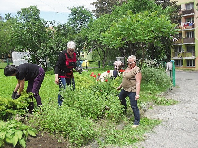  Seniorzy z SUTW przy pracach porządkowych wokół szkoły, w której mieści się jego siedziba