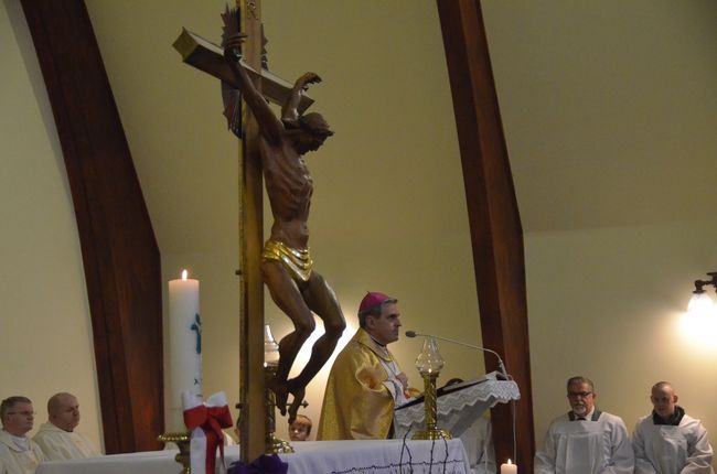 Diecezjalne obchody Roku Miłosierdzia