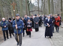 W kierunku jubileuszu