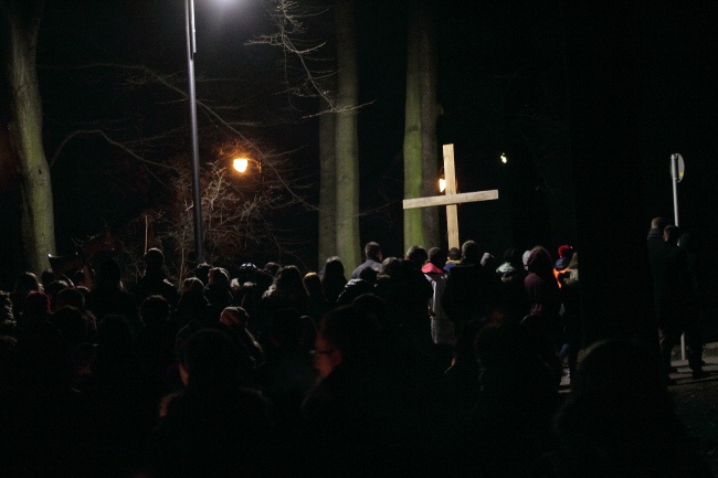 14 stacji w Parku Miejskim